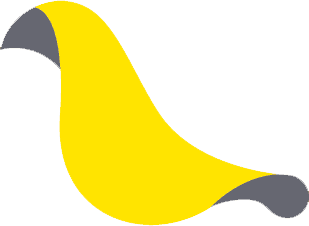 Canary Money Ltd